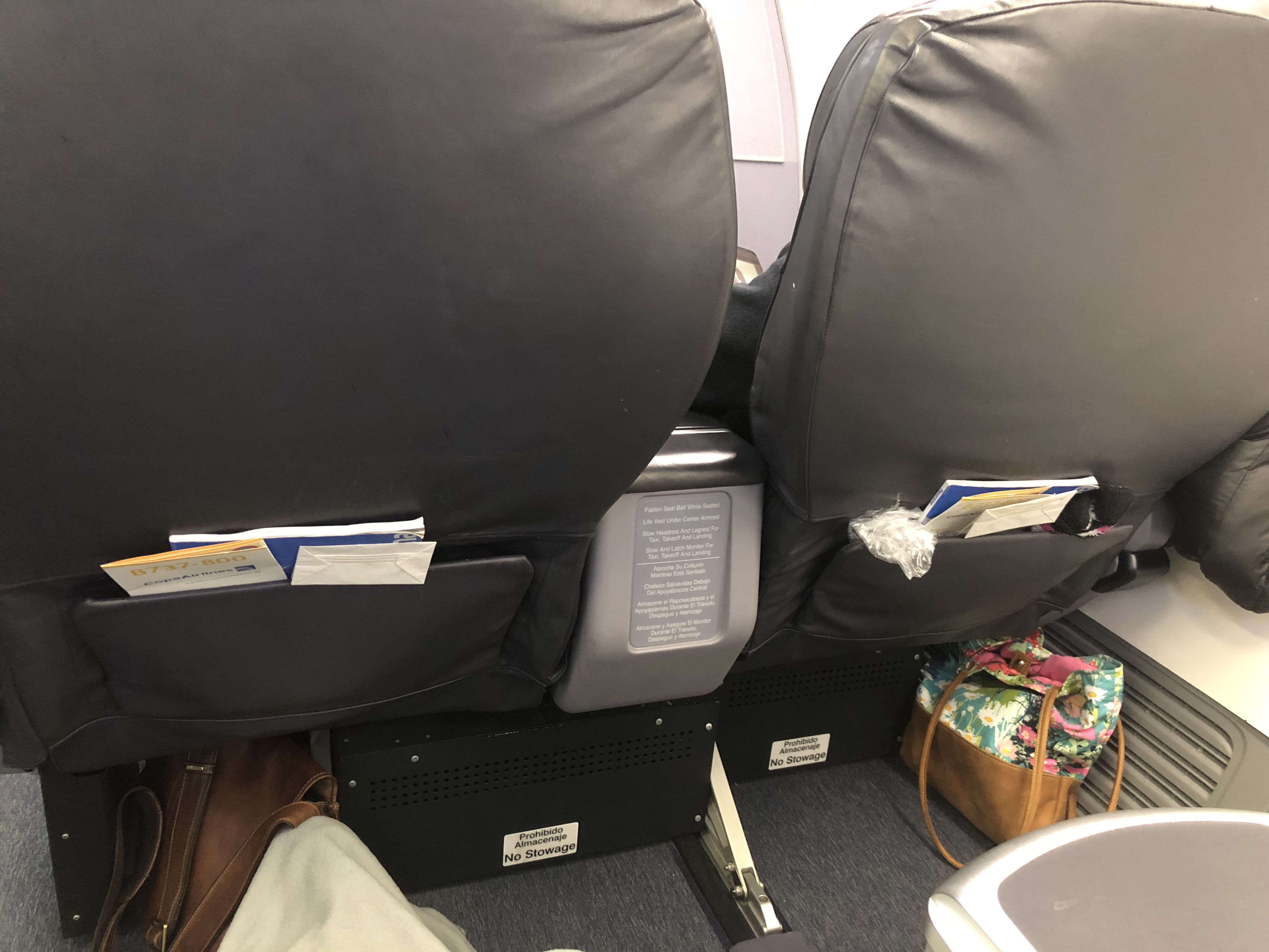 Review: Copa Airlines 737-800 Business Class - Live and Let's Fly