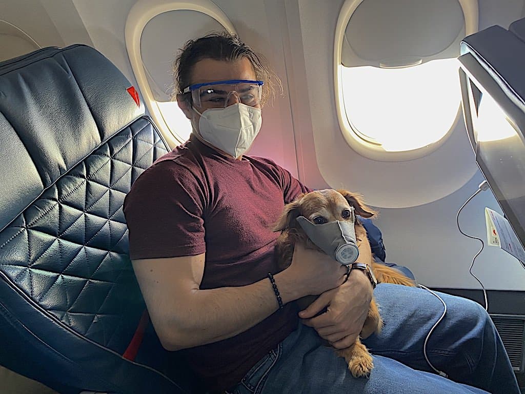 Dog's don't really need a mask when flying Delta during Covid-19