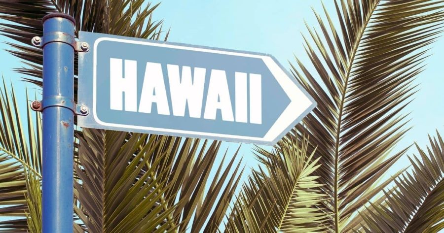 Hawaii Travel sign