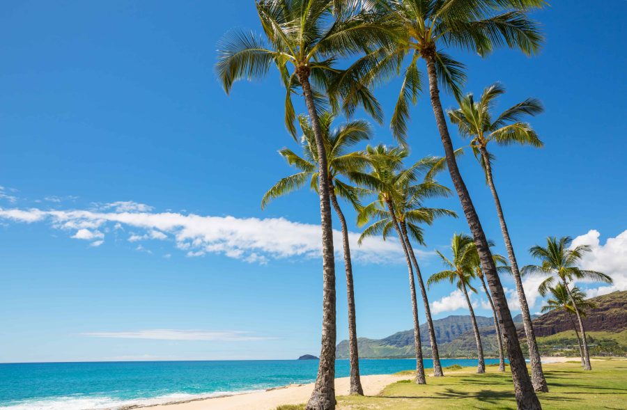 Book a stay at the Hyatt Residence Club Maui and experience crystal clear beaches and white sand.